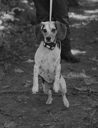 _N2A9443 bw copy