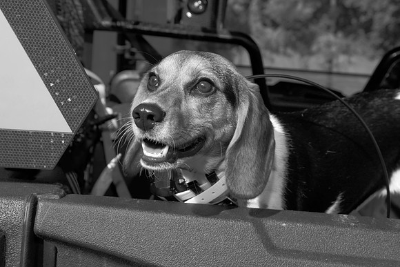 _N2A9327 bw copy