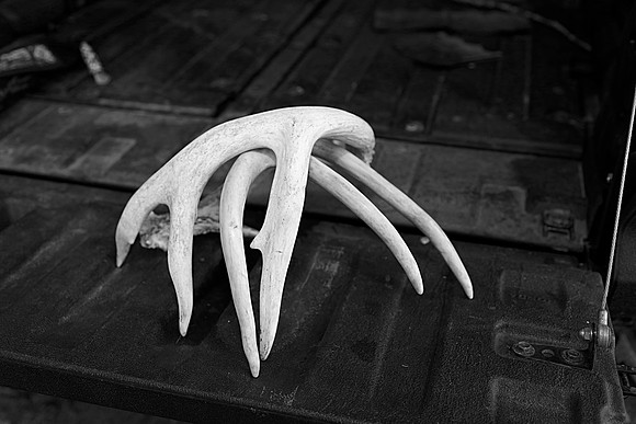 _N2A9455 bw copy