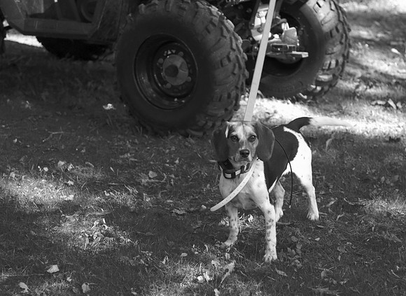 _N2A9400 bw copy
