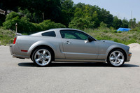 My Mustang